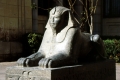 Photo Moyenne et Basse Egypte