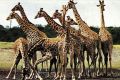 Photo <strong>Safari en Namibie</strong>